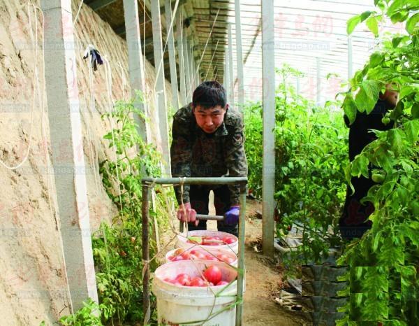 图片关键词 图片关键词