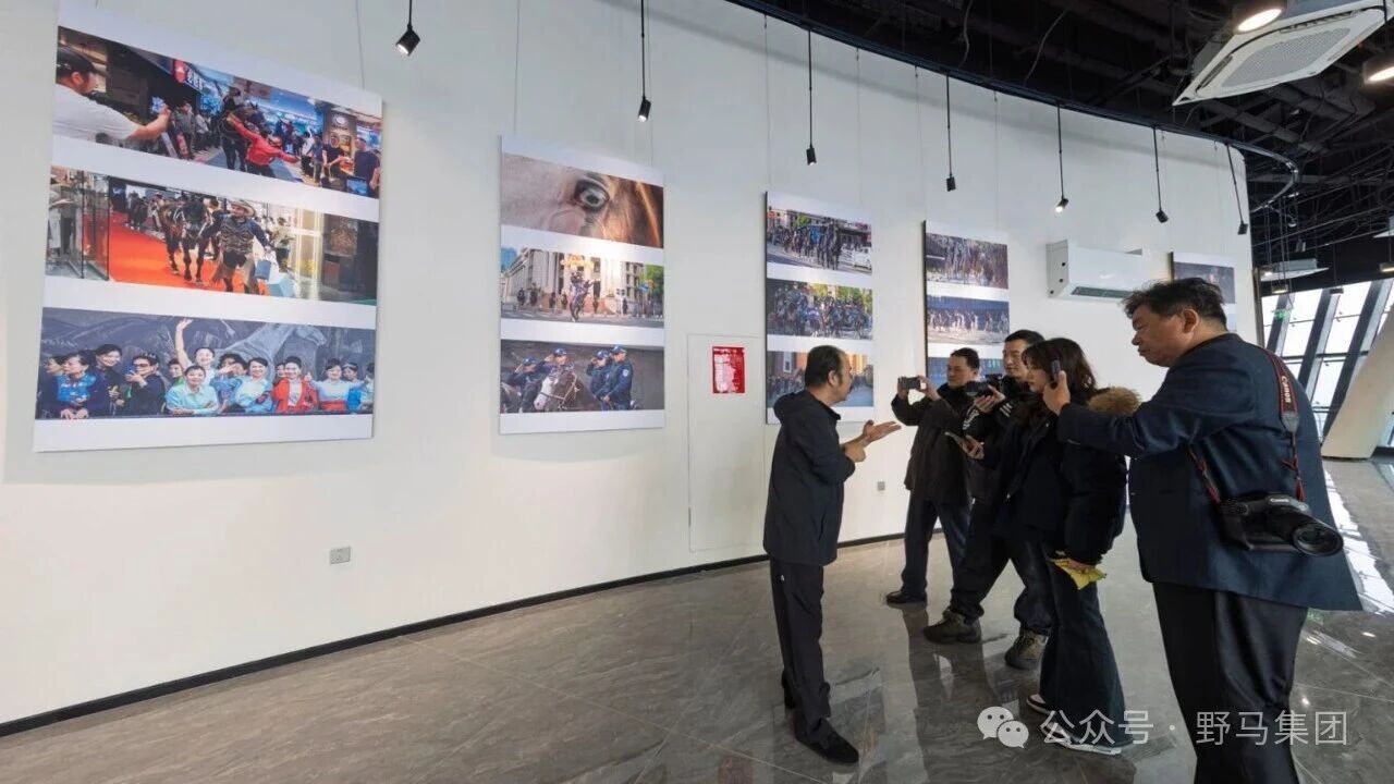图片关键词